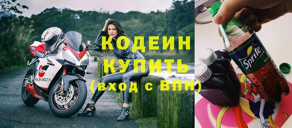 прущие грибы Балабаново