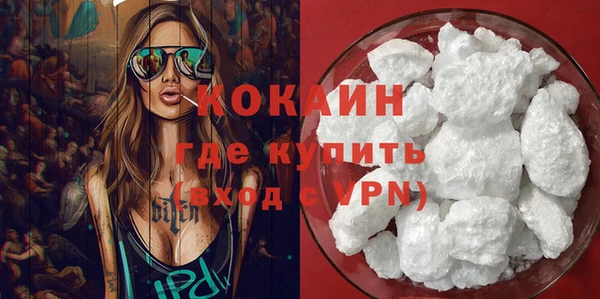 прущие грибы Балабаново
