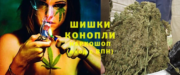прущие грибы Балабаново