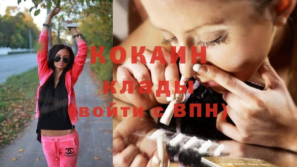 прущие грибы Балабаново